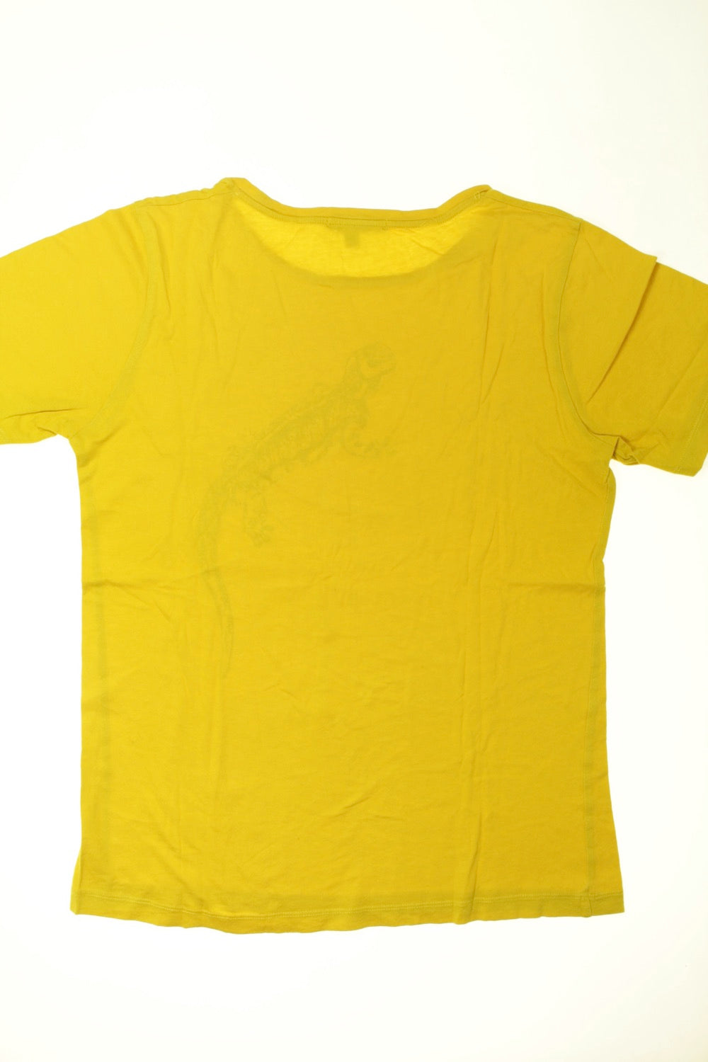 Tee-shirt manches courtes Salamandre - 14 ans