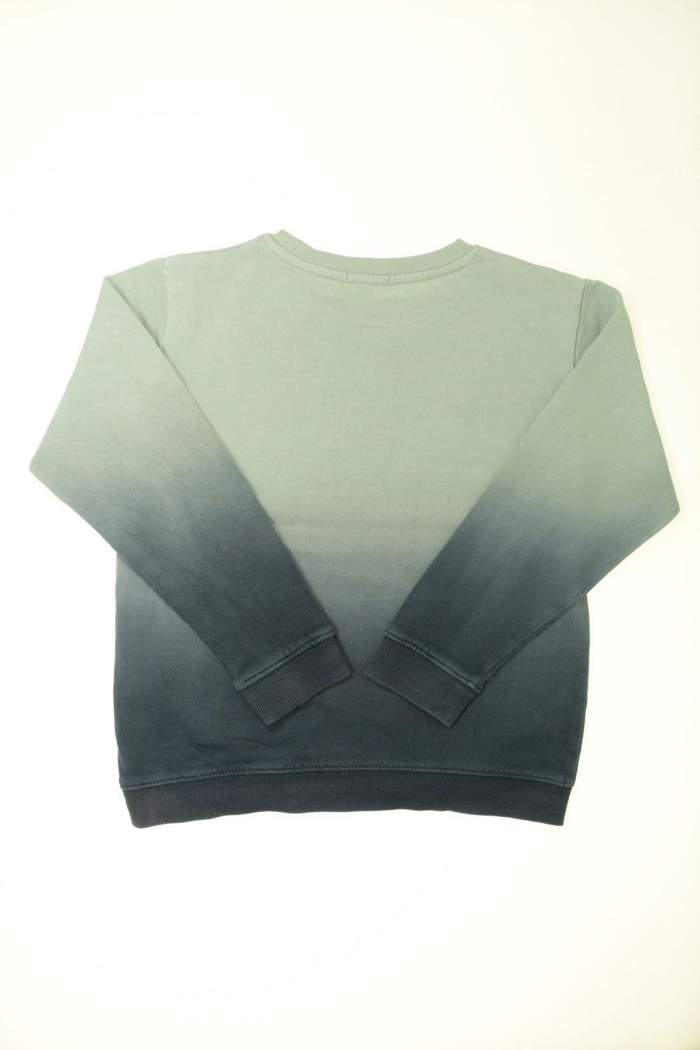 Sweat Baleine