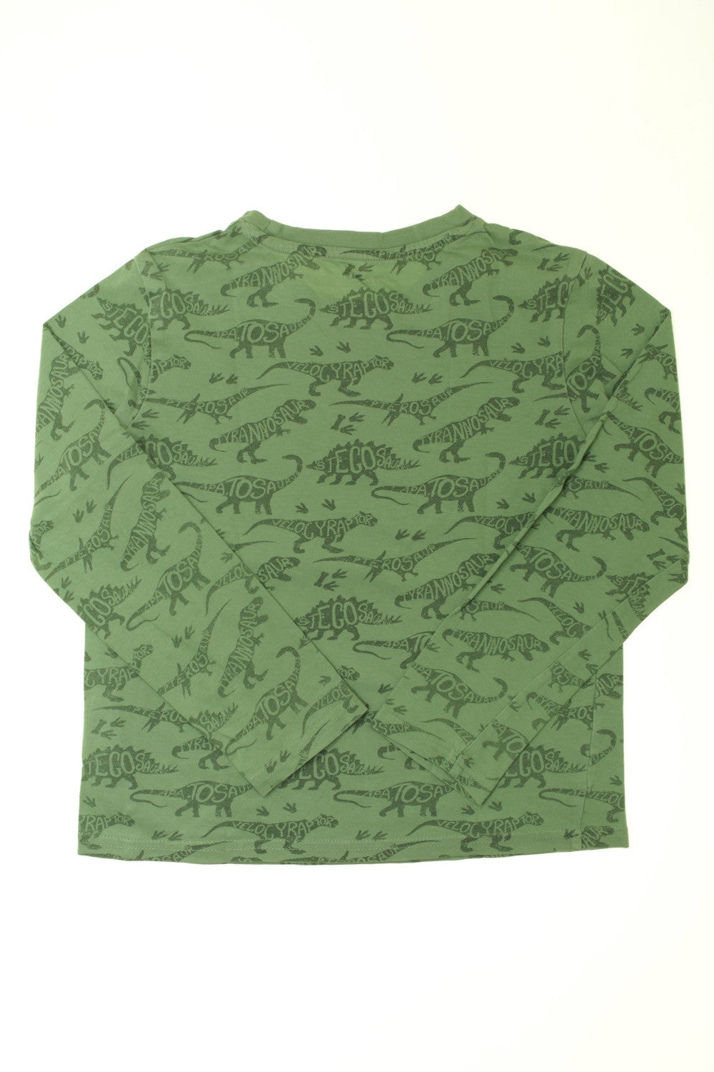 Tee-shirt manches longues &quot;Dinosaures&quot;