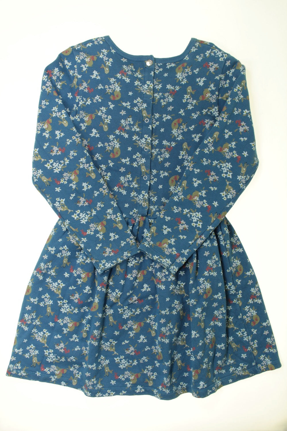 Robe Ours et faons