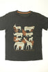 Tee-shirt / Polo, 12 ans, Garçon, Tee-shirt / Polo 12 ans