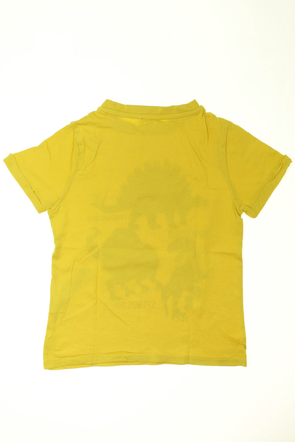 Tee-shirt manches courtes Dinosaures