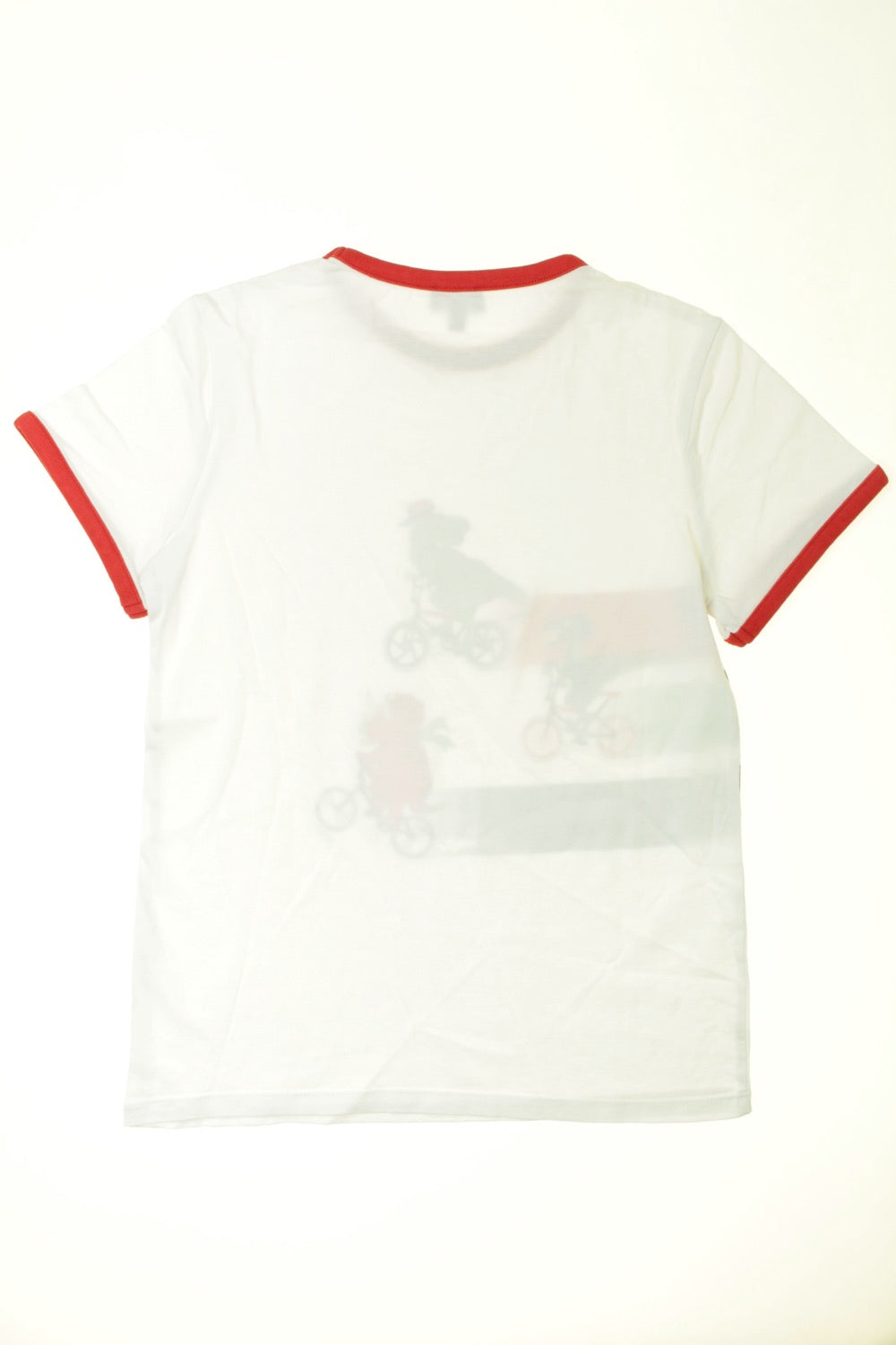 Tee-shirt manches courtes Dinosaures
